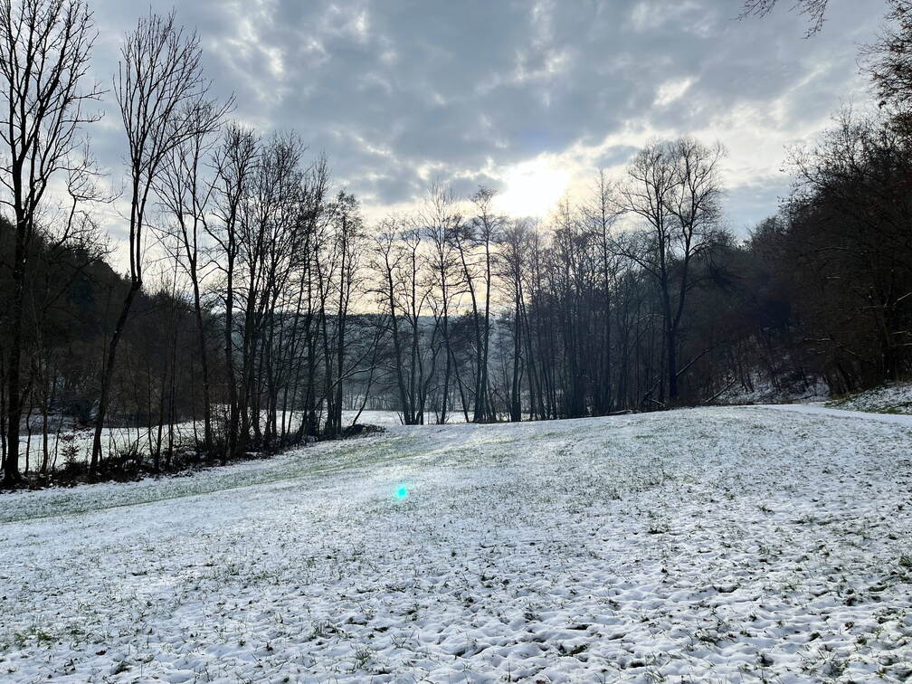 22-12-19 12-56-37 3629